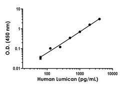 Abcam Human Lumican ELISA Kit, 1 x 96 Tests