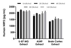 Abcam Human NRP2 ELISA Kit - Intracellular, 1 x 96 Tests