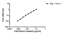 Abcam&nbsp;Human TFEB (phospho S211) Antibody Pair - BSA and Azide free, 10 x 96 Tests