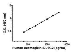 Abcam&nbsp;Human Desmoglein 2/DSG2 Antibody Pair - BSA and Azide free, 10 x 96 Tests