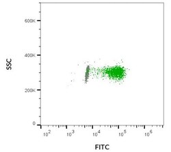 Abcam&nbsp;490/515 nm E x tracellular Vesicle Membrane Staining Kit, 500 TestsS