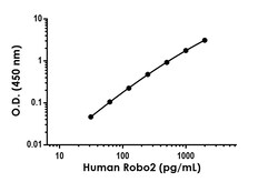 Abcam&nbsp;Robo2 Antibody Pair - BSA and Azide free, 10 x 96 Tests