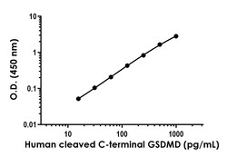 Abcam&nbsp;Human cleaved C-terminal GSDMD Antibody Pair - BSA and Azide free, 10 x 96 Tests