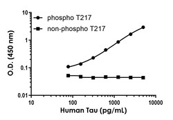 Abcam&nbsp;Human Tau (phospho T217) Antibody Pair - BSA and Azide free, 10 x 96 Tests