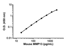 Abcam&nbsp;Mouse/Rat MMP13 Antibody Pair - BSA and Azide free, 10 x 96 Tests
