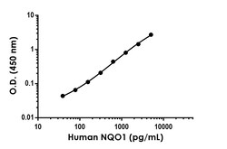 Abcam&nbsp;Human NQO1 Antibody Pair - BSA and Azide free, 10 x 96 Tests