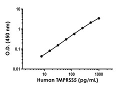 Abcam Human TMPRSS5 Antibody Pair - BSA and Azide free, 10 x 96 Tests