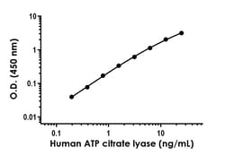 Abcam Human ATP citrate lyase Antibody Pair - BSA and Azide free, 10 x 96 Tests
