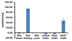 Abcam&nbsp;Native Bovine Collagen protein (FITC), 5MG