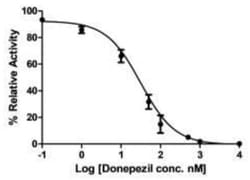Abcam&nbsp;Acetylcholinesterase Inhibitor Screening Kit (Colorimetric).