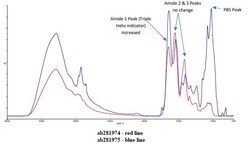 Abcam Native Cow Single Alpha Chain Collagen Type 1