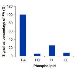 Abcam&nbsp;Phosphatidic Acid Assay Kit (Fluorometric).
