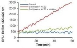 Abcam&nbsp;Angiotensin II Converting Enzyme (ACE2) Activity Assay Kit (Fluorometric).