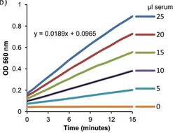 Abcam Ceruloplasmin Activity Assay Kit (Colorimetric).