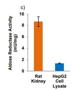 Abcam&nbsp;Aldose Reductase Activity Kit (Colorimetric).
