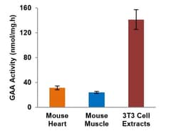 Abcam&nbsp;Lysosomal alpha-Glucosidase Activity Assay Kit (Fluorometric).