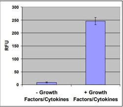 Abcam&nbsp;Hematopoietic Colony Forming Cell Assay Kit.