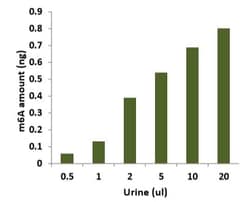 Abcam&nbsp;Urine m6A Assay Kit.