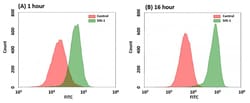 Abcam Peroxynitrite Assay Kit (Cell-based, Flow cytometry).