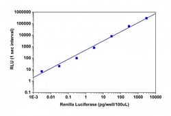 Abcam Luciferase Reporter Assay Substrate Kit - Renilla.