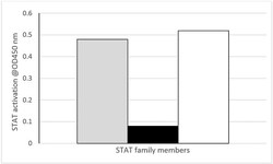 Abcam&nbsp;STAT3 Transcription Factor Assay Kit (Colorimetric).