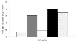 Abcam NFkB p50 Transcription Factor Assay Kit (Colorimetric).