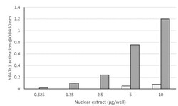 Abcam&nbsp;NFATc1 Transcription Factor Assay Kit (Colorimetric).