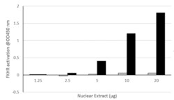 Abcam&nbsp;FOXO1 Transcription Factor Assay Kit (Colorimetric).