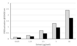 Abcam Total CREB Transcription Factor Assay Kit (Colorimetric).