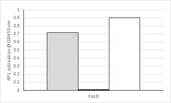 Abcam&nbsp;Fos B Transcription Factor Assay Kit (Colorimetric).