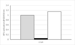 Abcam c-Jun Transcription Factor Assay Kit (Colorimetric).