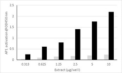 Abcam c-Fos Transcription Factor Assay Kit (Colorimetric).