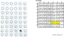 Abcam&nbsp;Human Histone H3 (tri methyl K27) peptide, 500UG