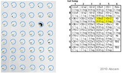 Abcam&nbsp;Human Histone H3 (tri methyl K9) peptide, 1MG