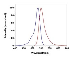 Abcam Cellular Membrane Potential Assay Kit (Fluorometric - Orange).