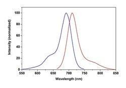 Abcam&nbsp;Phalloidin-iFluor 700 Reagent.
