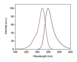 Abcam Phalloidin-iFluor 514 Reagent.