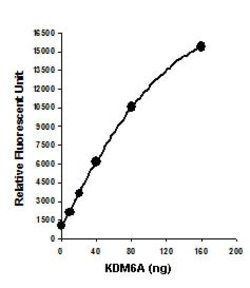 Abcam&nbsp;KDM6A/KDM6B Activity Quantification Assay Kit (Fluorometric).