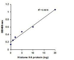Abcam&nbsp;Histone H4 Total Quantification Kit (Colorimetric).