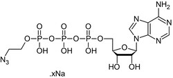 Abcam&nbsp;gamma-[2-Azidoethyl]-ATP (aqueous solution).
