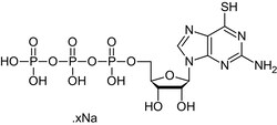 Abcam&nbsp;6-Thio-GTP (aqueous solution) (Thiogtp), Vac-1-Rac signaling inhibitor, 150UL