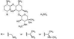 Abcam&nbsp;Gentamycin sulfate (aqueous), aminoglycoside antibiotic agent, 10ML