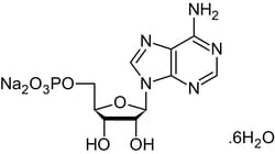 Abcam&nbsp;Adenosine 5'-monophosphate (AMP) disodium he x ahydrate, AMPK activator, 25G