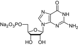Abcam Guanosine 5'-monophosphate [GMP] disodium salt, ribonucleoside monophosphate, 5G