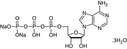 Abcam&nbsp;Adenosine 5'-triphosphate (ATP) disodium salt trihydrate, nucleotide coenzyme, 25G