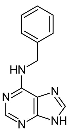 Abcam&nbsp;6-Benzylaminopurine, Synthetic cytokinin, 25G