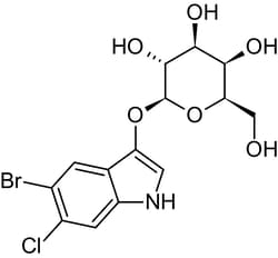Abcam&nbsp;Magenta-Gal, Chromogenic beta-galactosidase substrate, 100MG