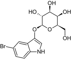 Abcam&nbsp;Bluo-Gal, Chromogenic beta-galactosidase substrate, 250MG