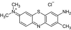 Abcam Toluidine blue O, metachromatic dye, 5G