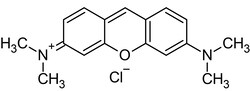 Abcam Pyronin Y (Pyronin G), Cationic dye (RNA), 5G